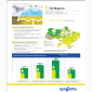Насіння озимого ріпаку СІ Мартен «Сингента» (Syngenta) - фото № 1