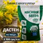 Новинка! Гібрид Ярого ріпака - ДАСТЕН (до 100 дн.) - фото № 1
