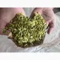 Продам чищенную кабаковую семечку на масло - фото № 1