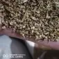 Продаються відходи білої гірчиці - фото № 4