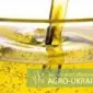Масло соняшникове від виробника - фото № 1