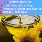 КУПЛЮ - Олію першого гатунку. - Технічну олію з усіх масличних культур - фото № 1