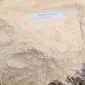 Гороховая мука купить - фото № 1