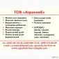 Соевая мука термически обработанная обезжиренная - фото № 1