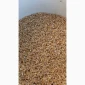 Пшеничная крупа из твердых сортов пшеницы - фото № 4