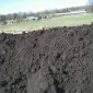Доставка чернозема в мешках и навалом по Запорожью - фото № 1