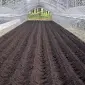 Доставка чернозема в мешках и навалом по Запорожью - фото № 2