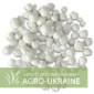 Сульфоамофос - комплексное удобрение для сельского хозяйства - фото № 1