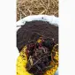 Біогумус вермікомпост просіяний добриво для саду городу компост у мішку 10 і 30 кг - фото № 1