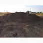 Продам курячий гній без підстилки - фото № 1