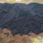Продам сапропель озёрный минерализованый - фото № 1