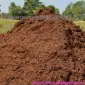 Перегной конский Киев Перегной в мешках Голосеевский район Совки - фото № 1