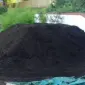 Чорнозем 100% якість.Чернозем.Чорнозем родючий.Погребы - фото № 1