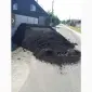 Чорнозем 100% якість.Чернозем.Чорнозем родючий.Погребы - фото № 3