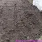 Чернозем в мешках Борщаговка Берковци Почва Грунт в мешках Киев - фото № 2