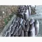 Грунт Чернозем в мешках купить Киев и область Чернозем Ирпень Стоянка - фото № 11