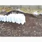 Грунт Чернозем в мешках купить Киев и область Чернозем Ирпень Стоянка - фото № 8