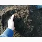 Чернозем Борщаговка Чернозем в мешках Борщаговка Доставка Перегній в мішках - фото № 7