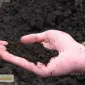 Чорнозем Осокорки Славутич Чорнозем в мішках Біла Дача - фото № 1
