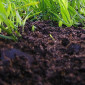 Якісний чорнозем в мішках – доставка по Києву - фото № 3