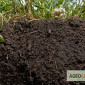 Чернозем в мешках Конча-Заспа Козын Доставка чернозема Конча-Заспа - фото № 6