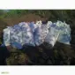 Чернозем земля для квітів Київ Земля для троянд Грунт для квітів Київ - фото № 4