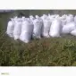 Грунт для газона Київська область Субстрат в мішках по 50 кг Київ Перегній - фото № 1