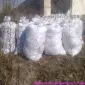 Грунт Чернозем в мешках Ирпень Пуща чернозем Киевская область купить Чернозем не дорого - фото № 4