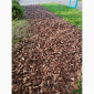 Мульча Киев Кора сосновая Киев купить Мульчирование почвы - фото № 7