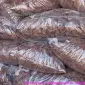 Кора сосновая для мульчирования Мульча Киев Киевская область - фото № 4