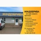 Предлагаем вам семена подсолнечника - фото № 1