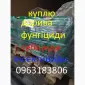 Выкуп Приём Скупка Продать Сдать агро препарати гербицид удобрение агро химия - фото № 4