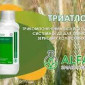 Гербіцид Триатлон (трикомпонентний системний, для зернових) - фото № 2