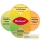 Капало (KAPALO) - трехкомпонентный фунгицид для защиты зерновых от комплекса болезней - фото № 2