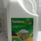 Парацельс - Фунгіцид для боротьби з хворобами зернових, цукрових буряків, соняшнику і сої - фото № 2