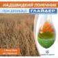 Прилипач Глайдер / Незамінний компонент при десикації - фото № 3