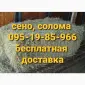 Сено сіно солома для декора, декорации, фотосессии в тюках мешках - фото № 2