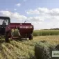 БОЛЬШІ об’єми. Лугове сіно, люцерна, солома. Безкоштовна доставка по Україні - фото № 2