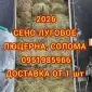 Сено в тюках для лошадей, крс, овец. Есть луговое и люцерна. Доставка бесплатная - фото № 1