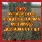 Сено в тюках. Доставка входит в стоимость. Отличное качество - фото № 1