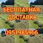 Б.н. розрахунок, великі обсяги, доставка по Україні. Лугове сіно, люцерна, солома - фото № 1