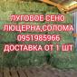 Б.н. розрахунок, великі обсяги, доставка по Україні. Лугове сіно, люцерна, солома - фото № 1