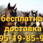 Продам ЛУГОВОЕ сено и ЛЮЦЕРНУ в тюках с доставкой по Украине - фото № 3