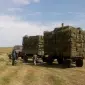 Продам лугове сіно і люцерну в тюках. Привіз на дім входить у вартість - фото № 1