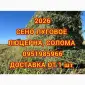 Продам лугове сіно і люцерну в тюках. Привіз на дім входить у вартість - фото № 1