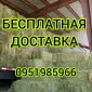 В наявності 300 тонн сіна люцерни. Безкоштовна доставка - фото № 1