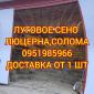 Продаж сіна для коней, овець, кіз, ВРХ з доставкою - фото № 1