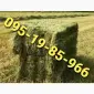 Сено в тюках мешках различных видов с доставкой на ферму - фото № 1