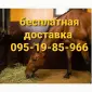 БЕЗКОШТОВНА доставка сіна лугового, люцерни, соломи в тюках - фото № 3