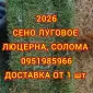 Продажа сена различных видов в тюках мешках - фото № 1